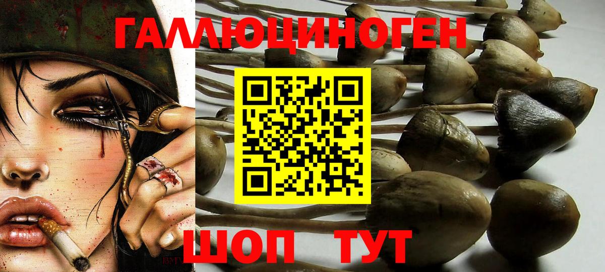 Псилоцибиновые грибы ЛСД  Галлюциногенные грибы Psilocybe  Вход с VPN  Усть-Джегута 